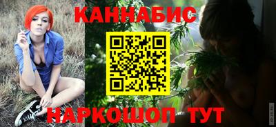 прущие крисы Гудермес