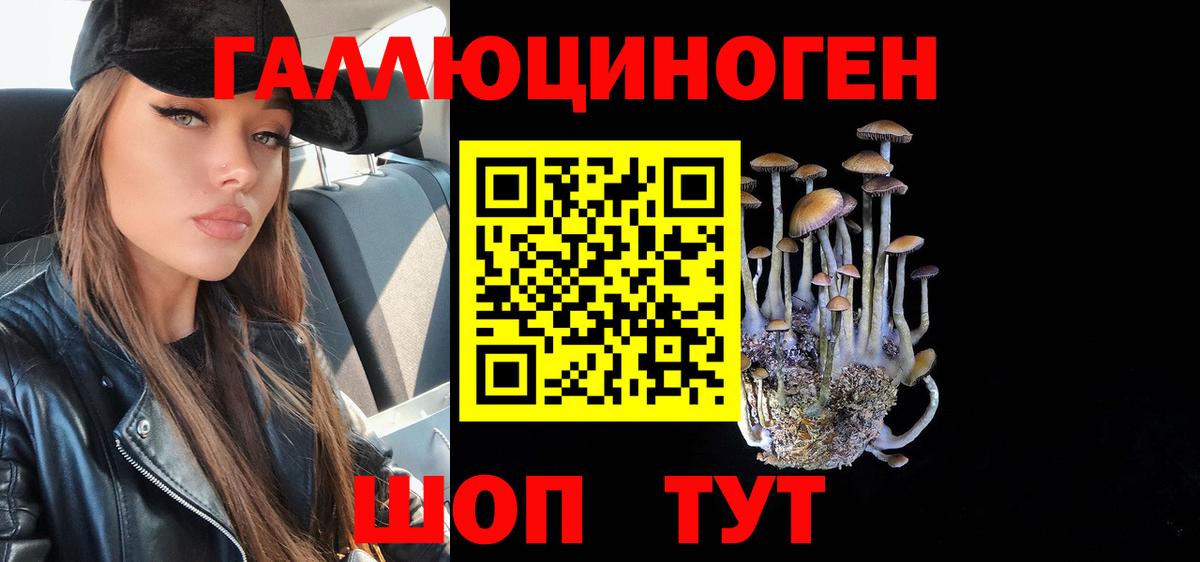 Псилоцибиновые грибы Psilocybe Бор