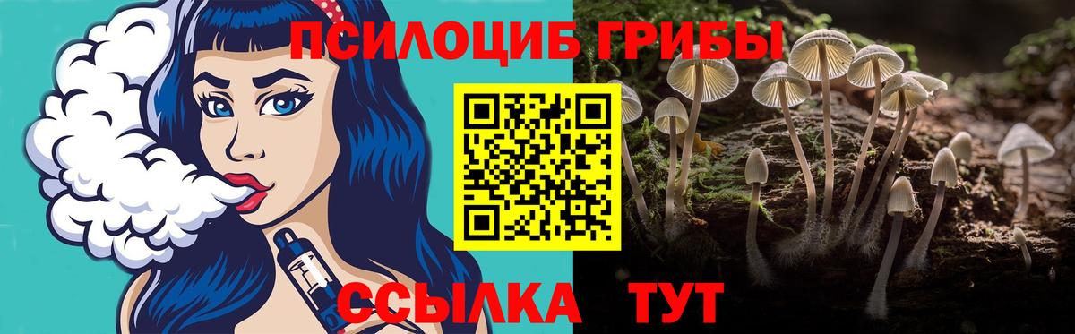 где продают   Галлюциногенные грибы Magic Shrooms  Бор  Псилоцибиновые грибы GOLDEN TEACHER 