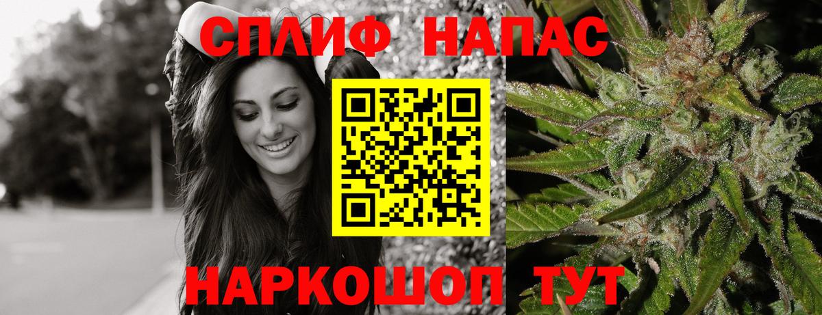 Конопля гибрид Бор